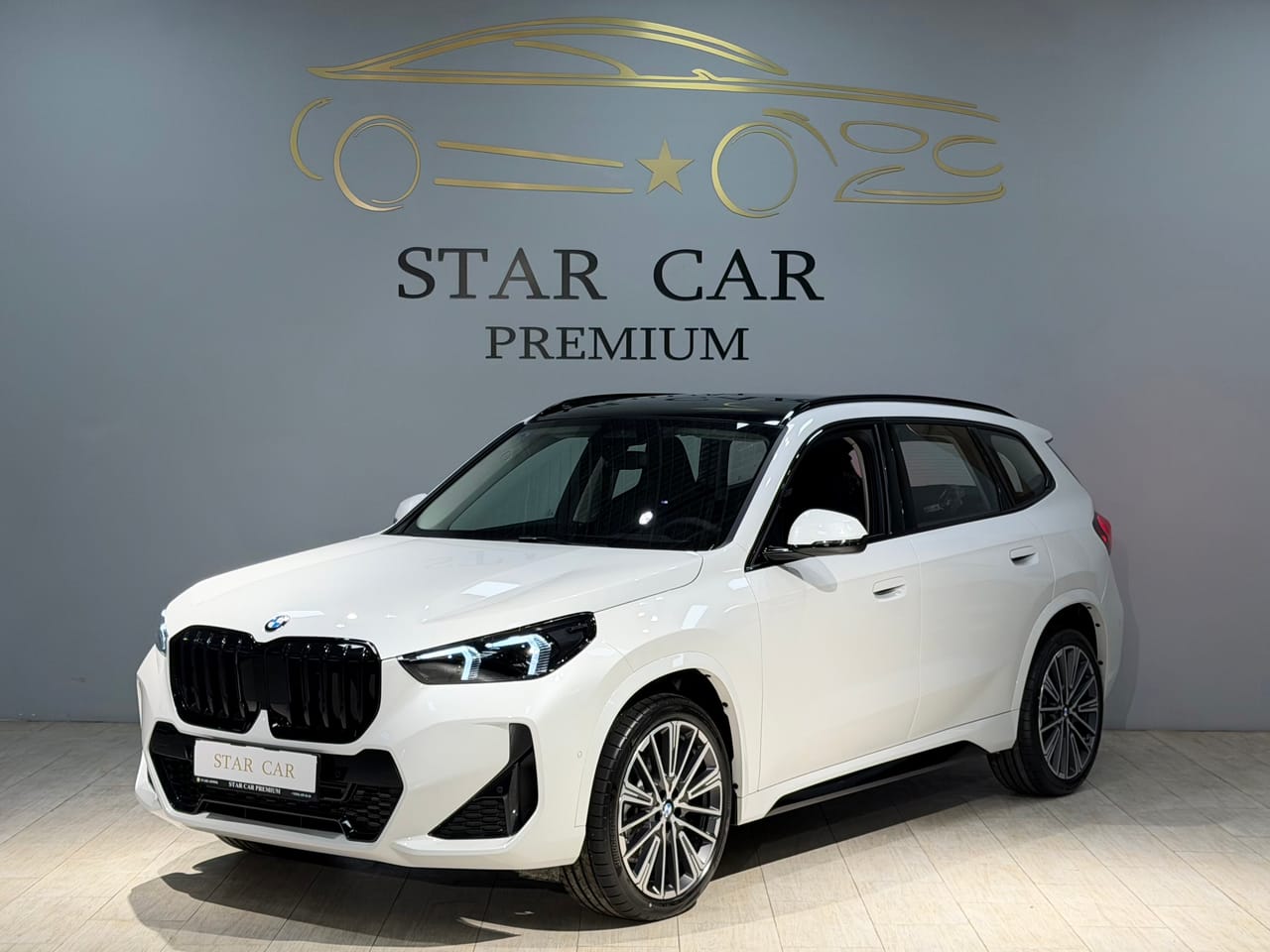 BMW X1 25Li
